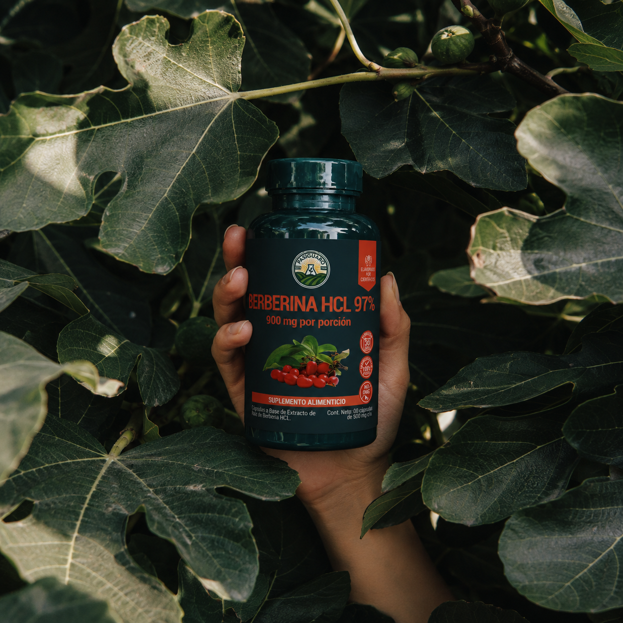 LÍNEA HERBAL